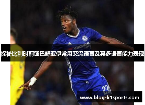 探秘比利时前锋巴舒亚伊常用交流语言及其多语言能力表现